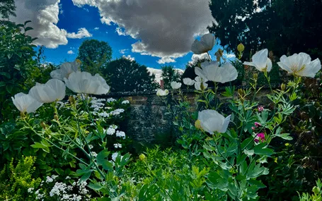 Open Gardens welcomes new locations