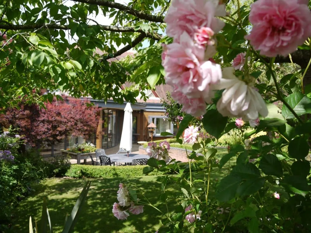 Hospice garden with roses
