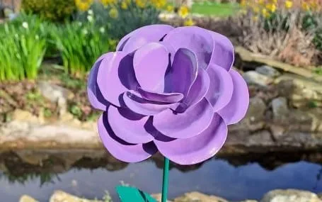 Installation of remembrance roses returns for fourth year