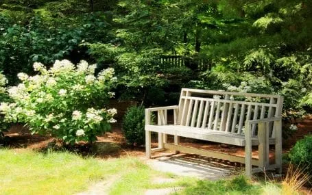 Planning a cremation service
